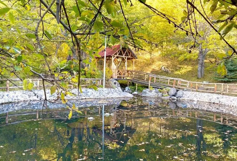 Fotos del hotel Alva  & Spa:  23