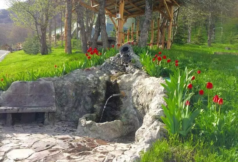 Fotos del hotel Alva  & Spa:  11