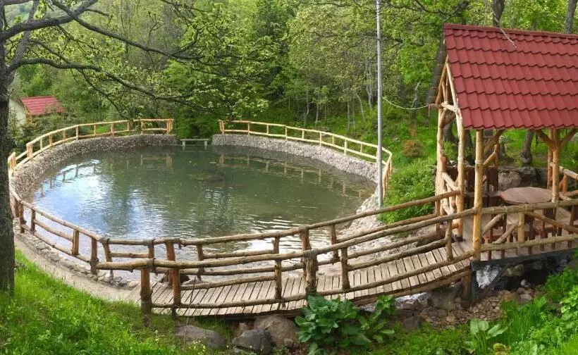 Fotos del hotel Alva  & Spa:  7