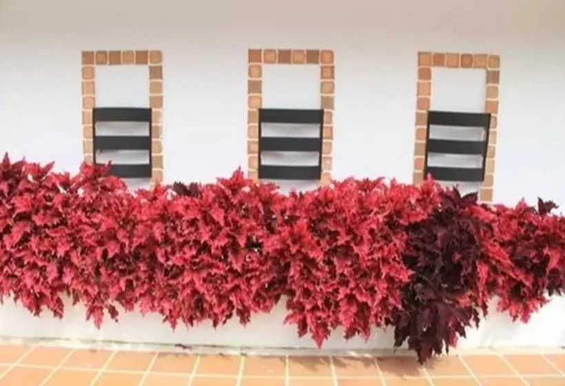 Fotos del hotel Campestre Duranta:  15