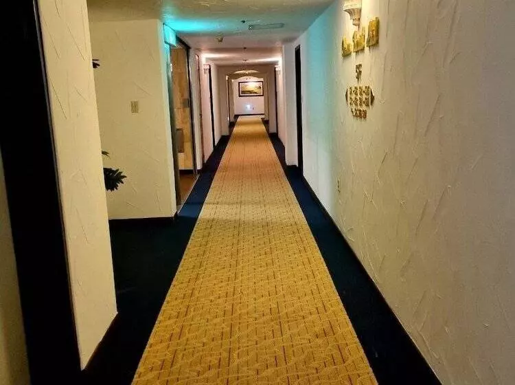 Fotos del hotel The Chosun  Suanbo:  3