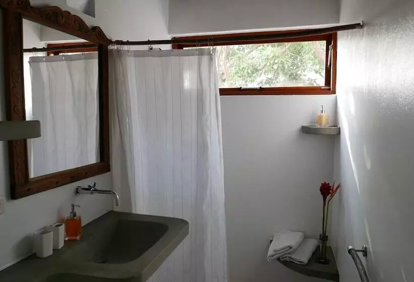 Fotos del hotel Casa Verde:  8