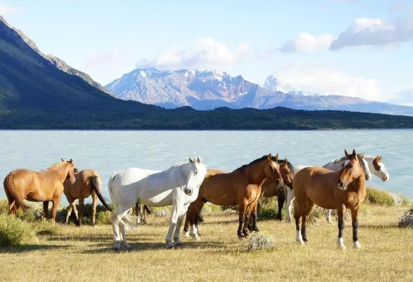 Fotos del hotel Hosteria Helsingfors:  15