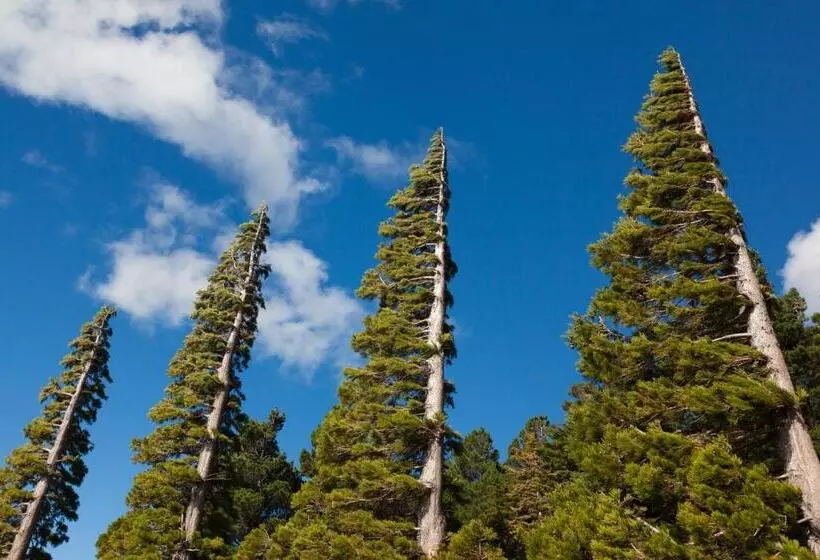 Fotos del hotel Hosteria Helsingfors:  8