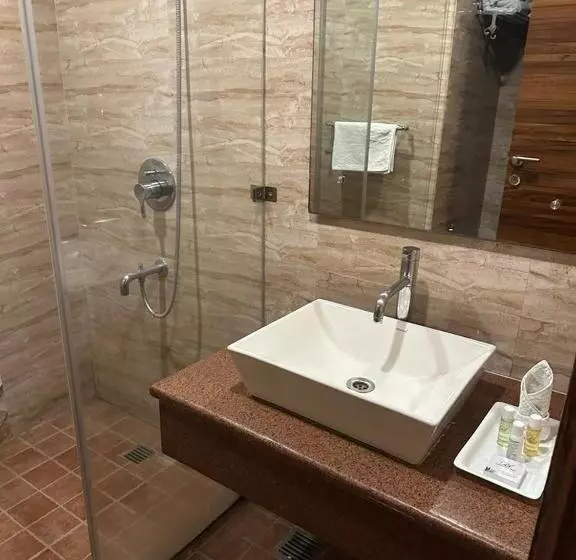 Fotos del hotel Airport  Ramhan Palace Mahipalpur:  15