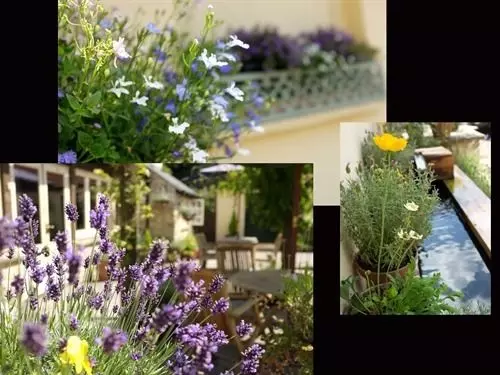 Fotos del hotel The Jolly Tar:  8