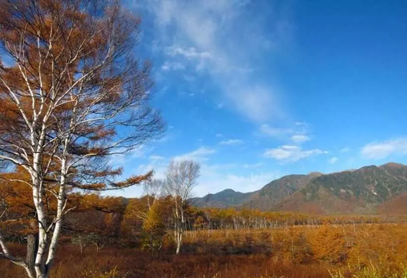 Fotos del hotel Nikko Sansui:  14