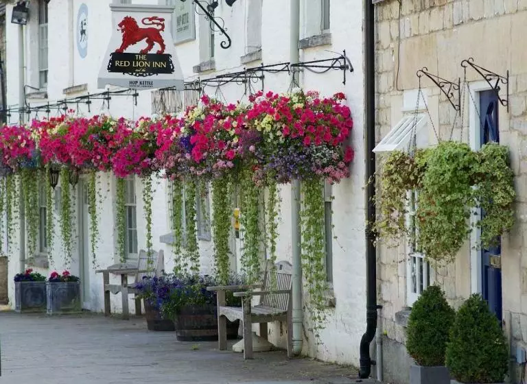 Fotos del hotel The Red Lion:  9