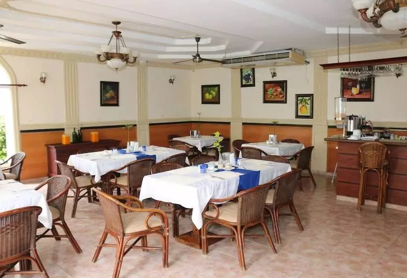 Fotos del hotel Hotel Dominicana Plus Bavaro:  2