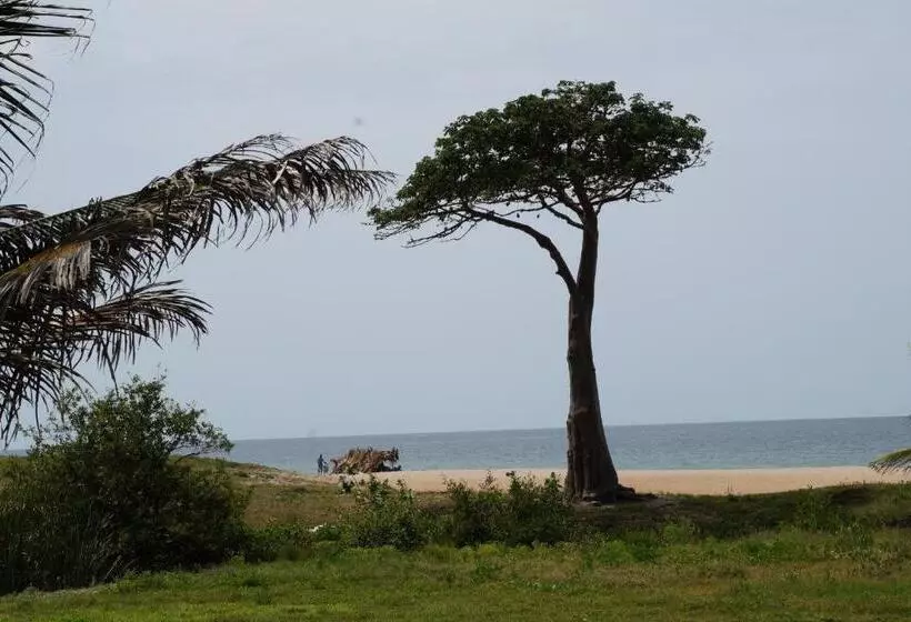 Fotos del hotel Lemon Creek Hotel Resort:  9