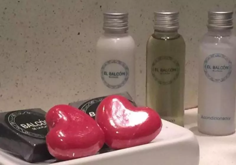 Fotos del hotel Boutique Balcón De La Plaza:  21