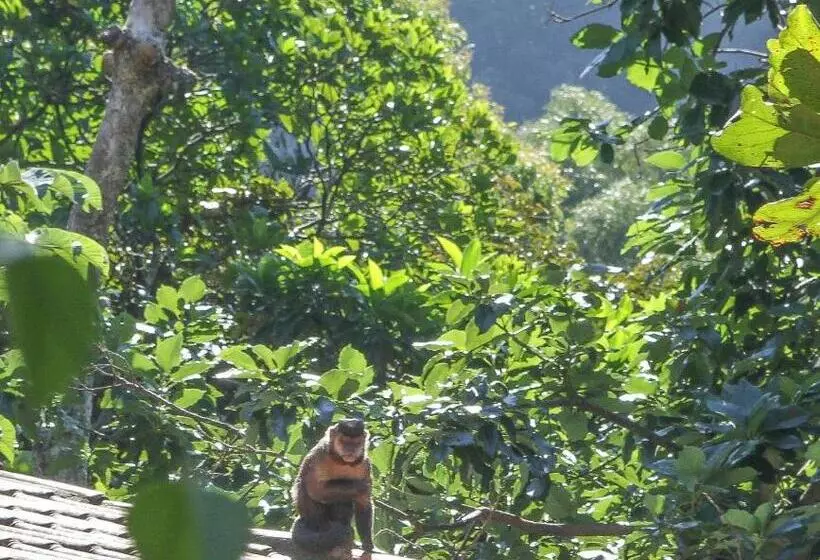 Fotos del hotel Les Jardins De Rio Boutique:  10