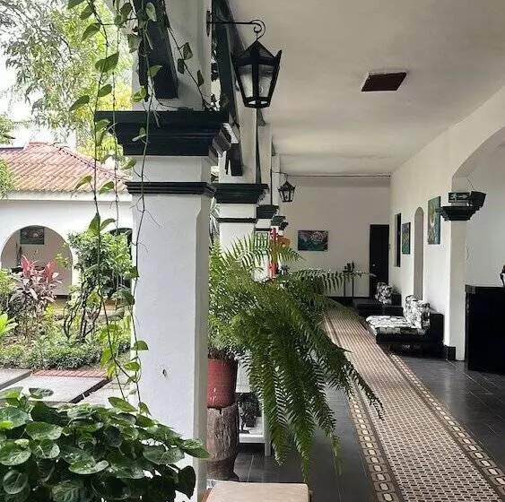 Fotos del hotel Matamundo:  4