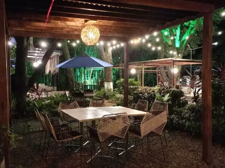 Fotos del hotel Matamundo:  11