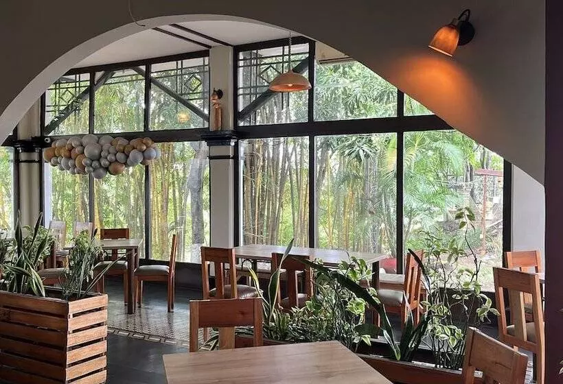 Fotos del hotel Matamundo:  20