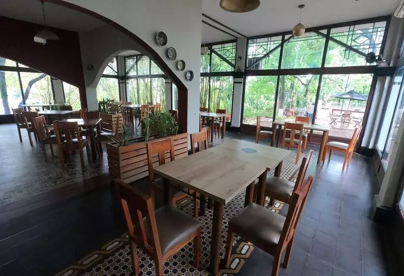 Fotos del hotel Matamundo:  10