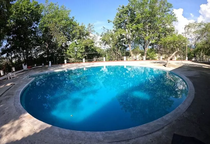 Fotos del hotel Matamundo:  9