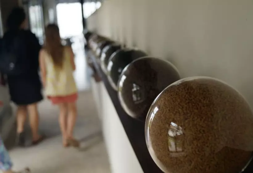 Fotos del hotel Xandari Harbour:  4