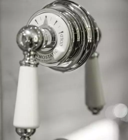 Fotos del hotel Gotham:  13