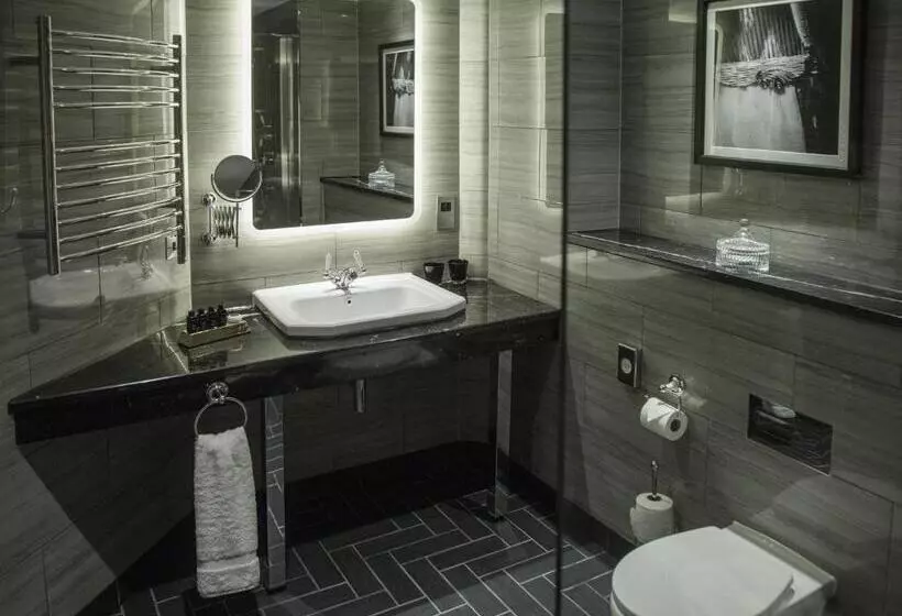 Fotos del hotel Gotham:  6