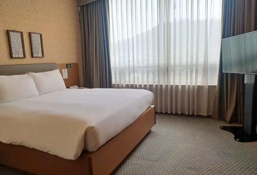 Fotos del hotel Migliore  Seoul Myeongdong:  19