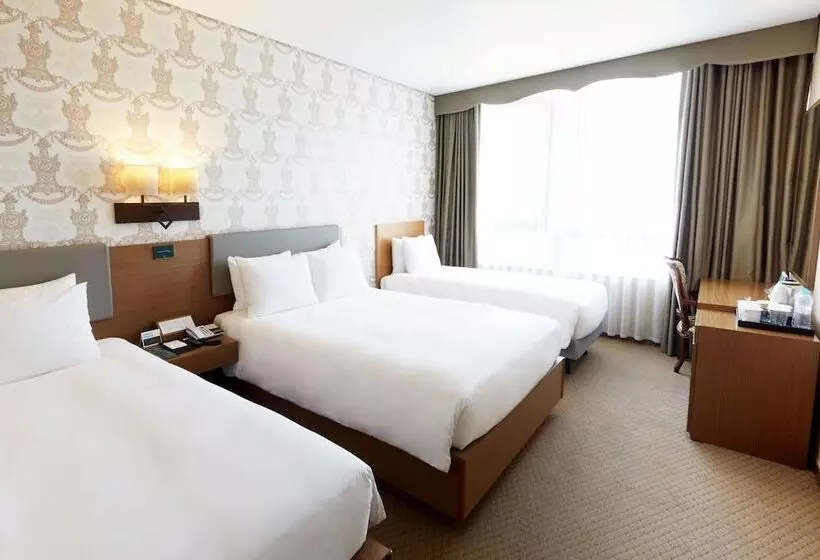 Fotos del hotel Migliore  Seoul Myeongdong:  14