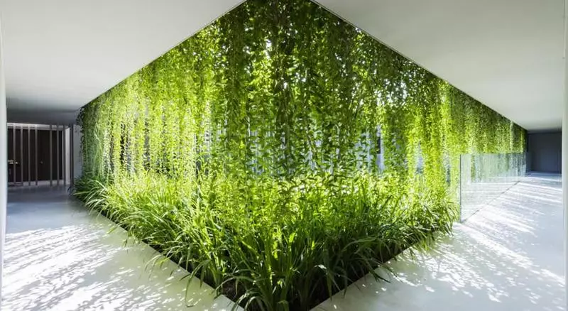 Fotos del hotel Naman Retreat:  11