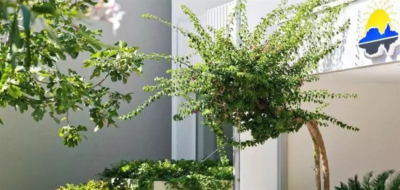 Fotos del hotel Palas:  17