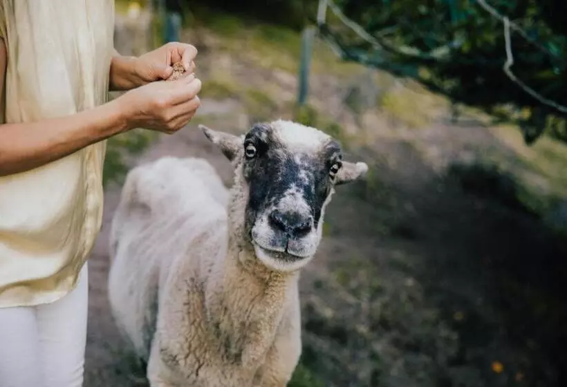 Fotos del hotel Acacia Cliffs Lodge:  5