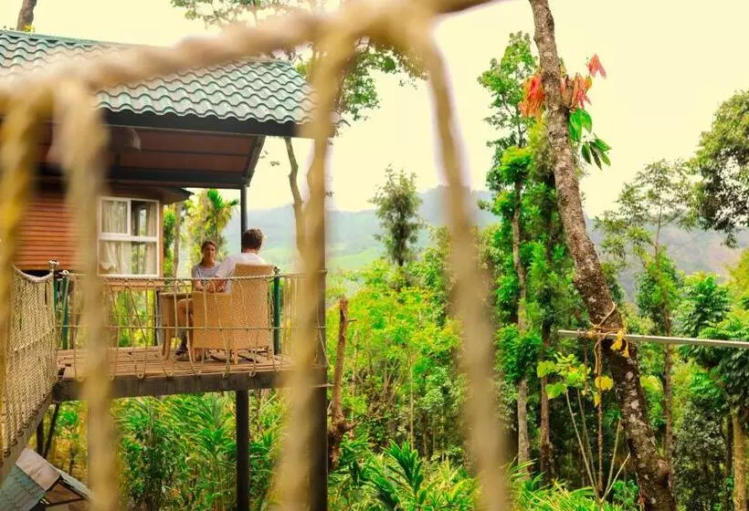 Fotos del hotel Kaivalyam Wellness Retreat:  15