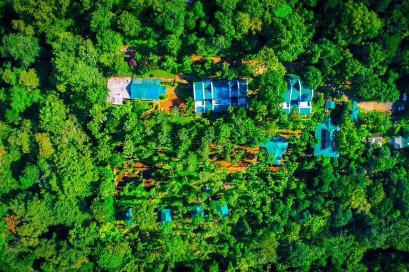 Fotos del hotel Kaivalyam Wellness Retreat:  9