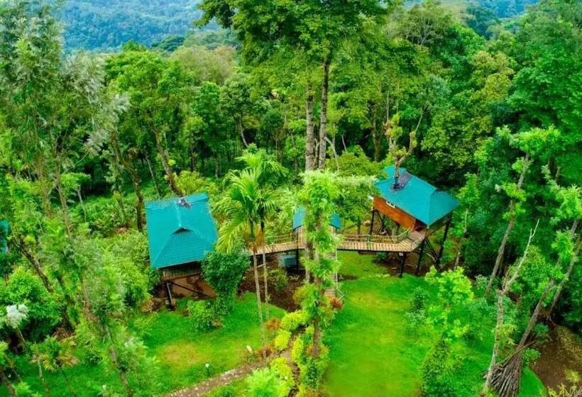 Fotos del hotel Kaivalyam Wellness Retreat:  5