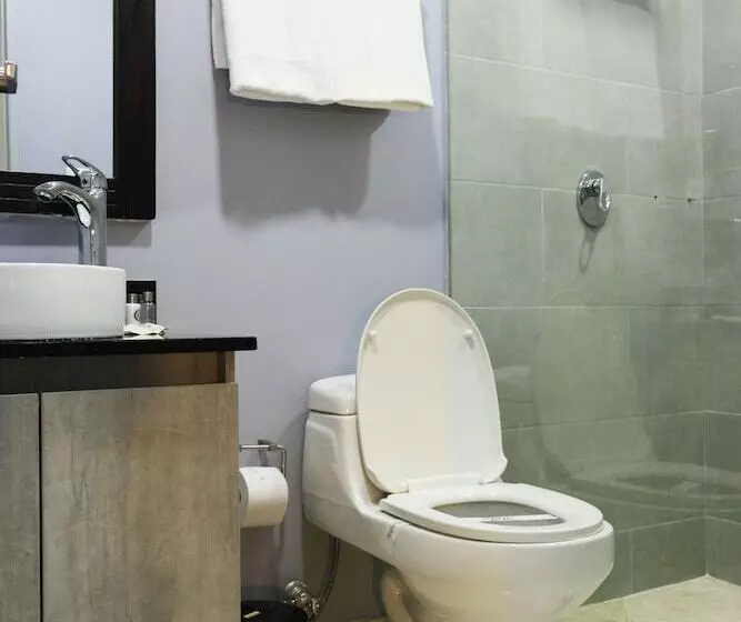 Fotos del hotel Lleras 10:  5