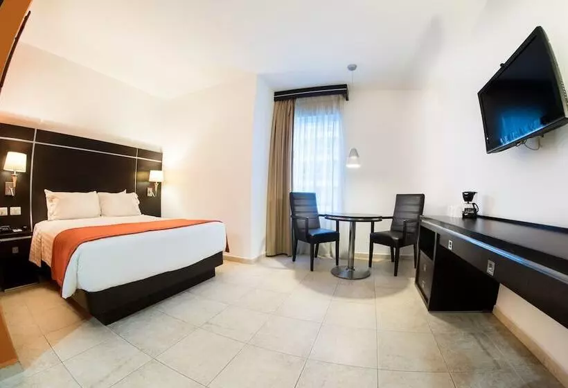 Fotos del hotel Gamma Veracruz Boca Del Río Oliba:  22