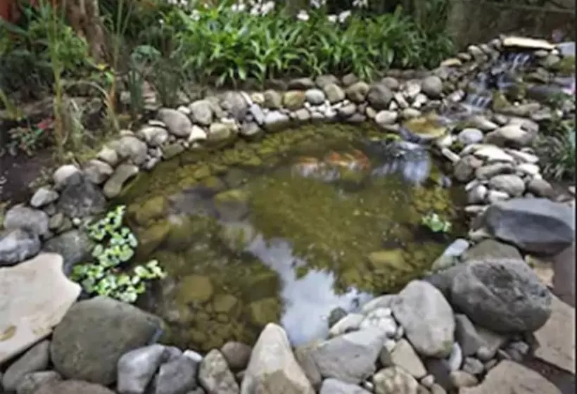 Fotos del hotel Guayaba Inn:  12