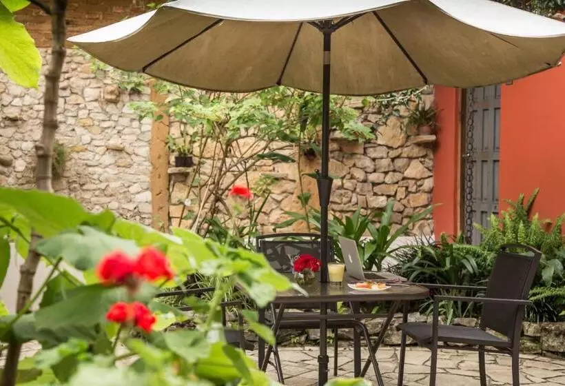 Fotos del hotel Guayaba Inn:  10