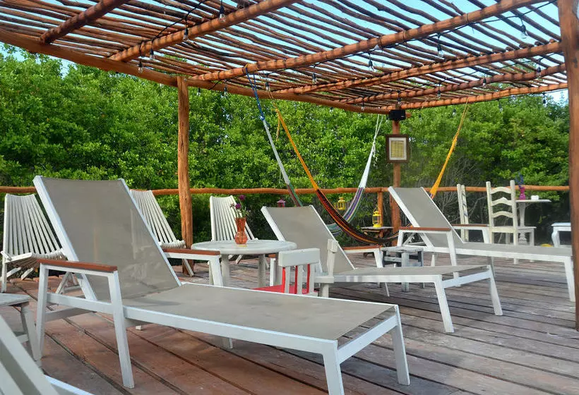 Fotos del hotel Cielito Holbox:  3