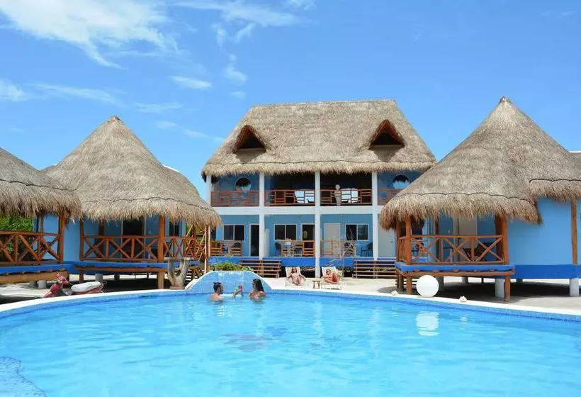 Fotos del hotel Cielito Holbox:  2