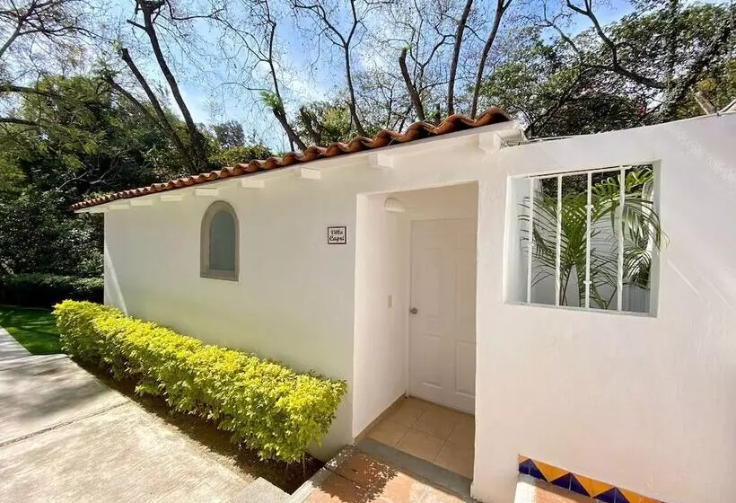 Fotos del hotel L'Orangerie:  10