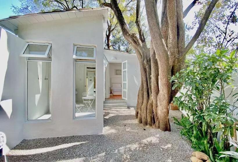 Fotos del hotel L'Orangerie:  12