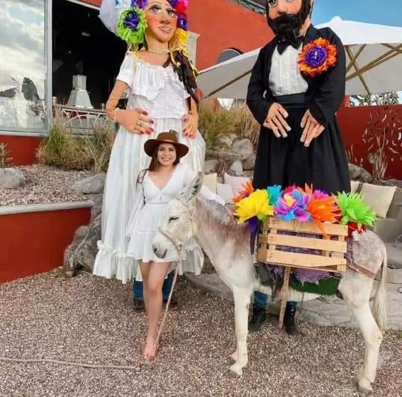 Fotos del hotel View  Boutique:  9