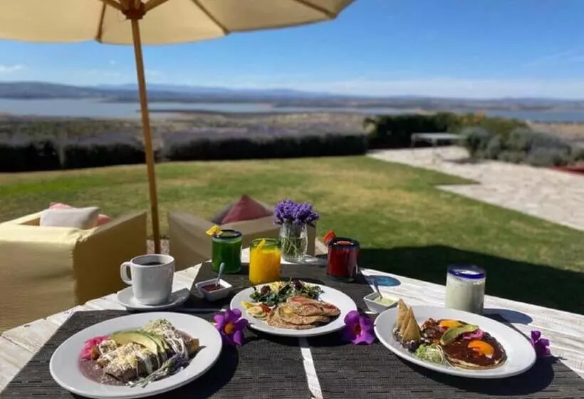 Fotos del hotel View  Boutique:  24