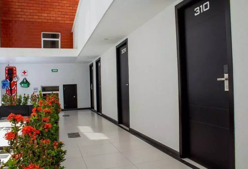 Fotos del hotel Metropolitano:  18