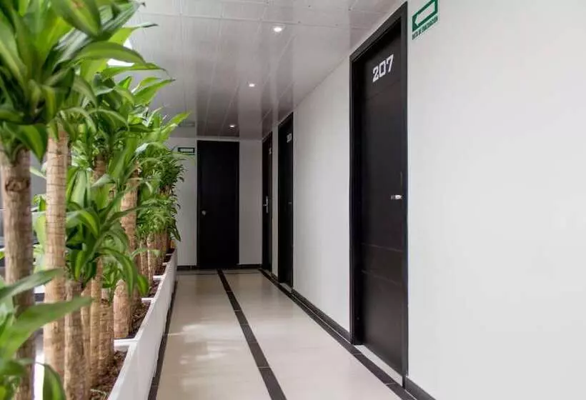 Fotos del hotel Metropolitano:  4