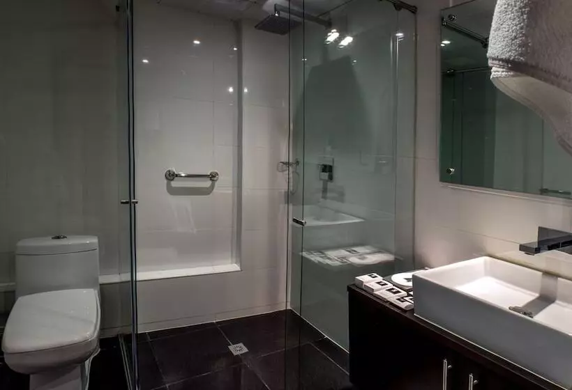 Fotos del hotel Metropolitano:  14