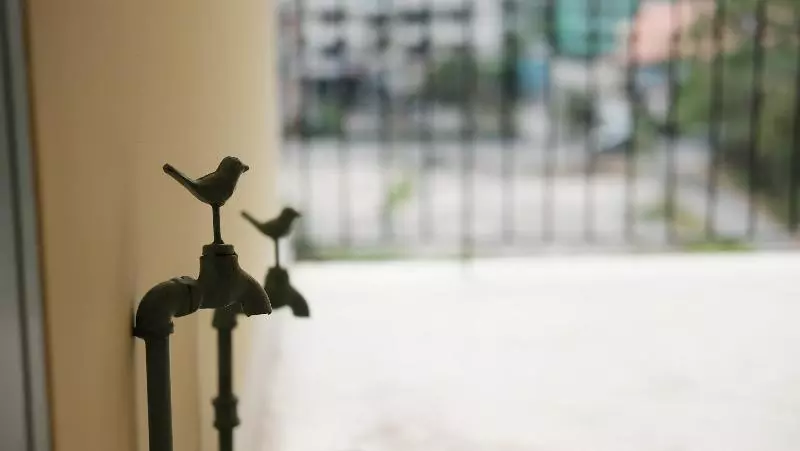 Fotos del hotel De Pastel:  20