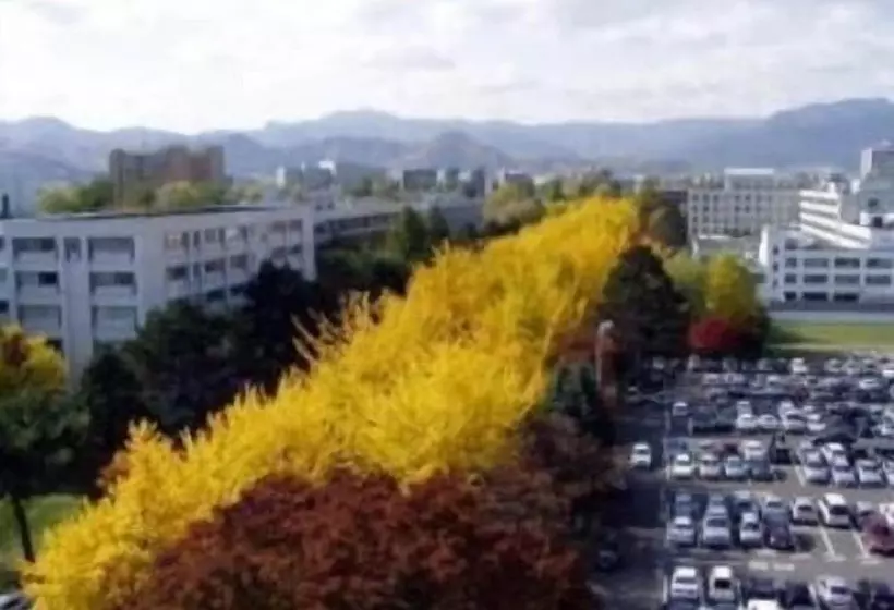 Fotos del hotel Sapporo Clark:  10