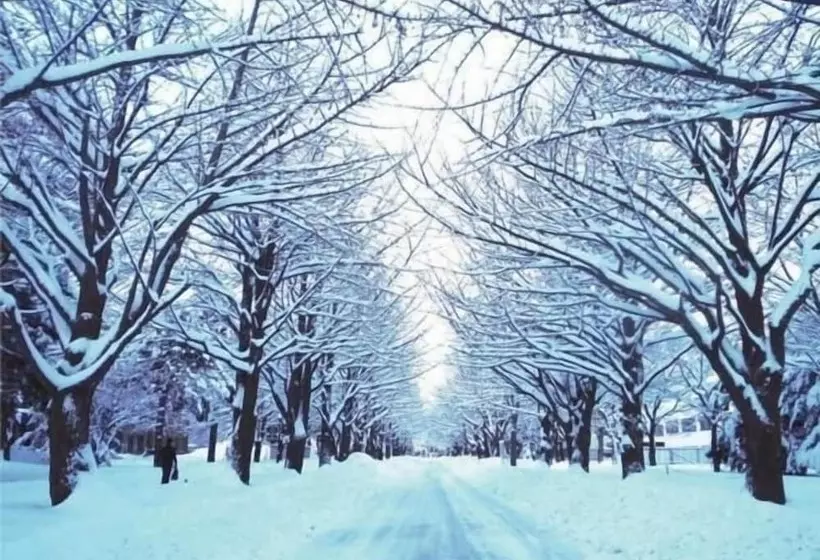 Fotos del hotel Sapporo Clark:  9