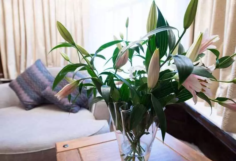 Fotos del hotel The Pearl Hotel:  5