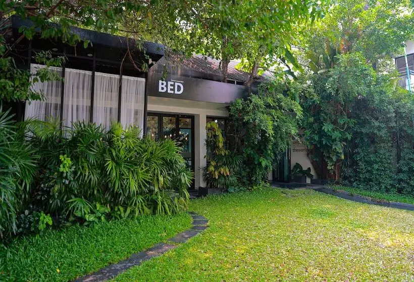 Fotos del hotel Bed Phrasinghadults Only:  12